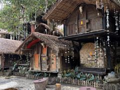 -海南槟榔谷黎苗文化旅游区