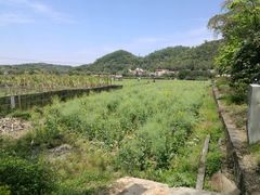 -红山村