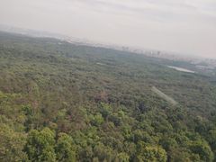 -紫金山山顶公园