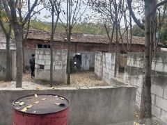 -东湖小天池真人CS彩弹野战基地