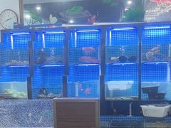 -金龙·打边炉(武进路店)