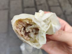 鲜肉鲜香烧卖-嘉州海汇源老烧麦店(东大街总店)