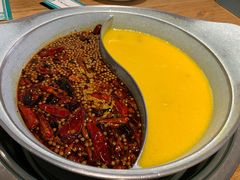 -青瓷火锅料理(西单大悦城店)