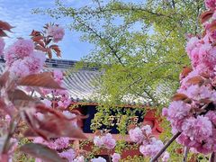 -石岛赤山风景区