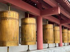 -龙口南山旅游景区