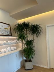 -颜和骨正&明星徒手小颜整骨