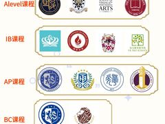 -菠萝国际教育专注Alevel·IGCSE·IB·AP·托福雅思培训辅导(静安校区)