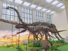 -广西壮族自治区博物馆