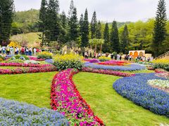 -深圳仙湖植物园