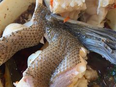 -大理.老字号渝记酸萝卜乌鱼(古城总店)