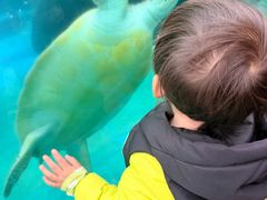 -海合安成都极地海洋公园