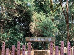 -南宁良凤江国家森林公园