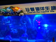 -成都浩海立方海洋公园