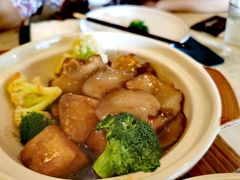 日式花菇豆腐煲-T館·花园艺术餐厅