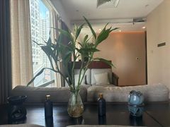 -深圳温德姆至尊酒店·大堂吧·户外花园