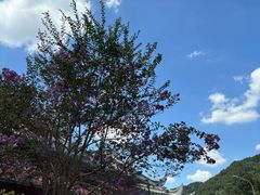 -黔灵山公园