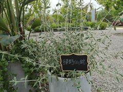 -苏州上方山国家森林公园