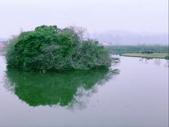 -三垟湿地