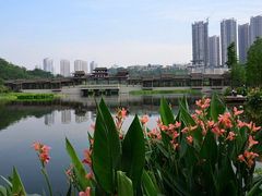 -重庆彩云湖湿地公园