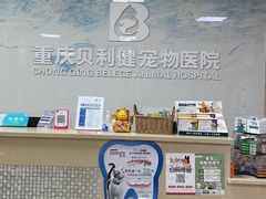 -宠颐生贝利健动物医院(谢家湾分院)