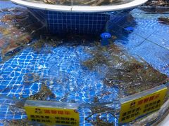 -皮记海鲜1995(寮步店)