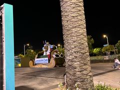 -上海玛雅海滩水公园