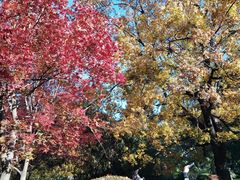 -香山公园-东宫门售票处