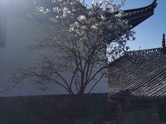 -和顺古镇