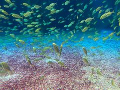 -海合安青岛极地海洋公园