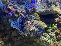 -太平洋海底世界