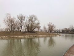 -盐城丹顶鹤湿地生态旅游区