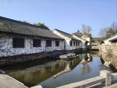 -鲁镇