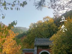 -佛慧山