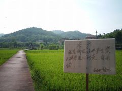-红山村