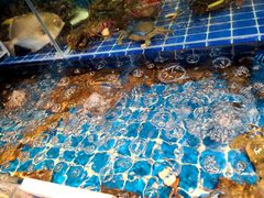 -大厨的餐厅(曾厝垵总店)