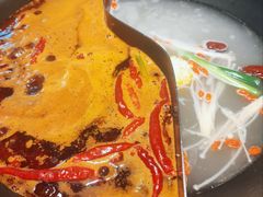 -阳阳老火锅(小南门店)