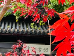 -宝界山林公园