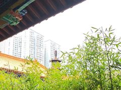 -真庆观