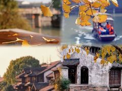 -乌镇景区