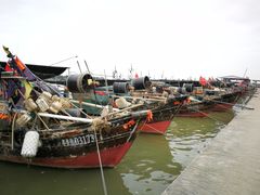 -大湾区中央湿地公园-十九涌