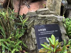 -海口观澜湖火山温泉谷