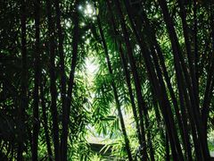-成都杜甫草堂博物馆