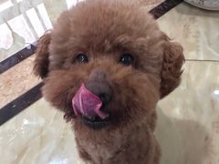 -佳雯宠物医院·皮肤科·内外科(春晓路分院)