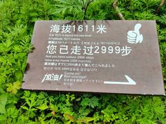 -恩施大峡谷