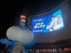 -盒马X会员店(上海森兰商都店)