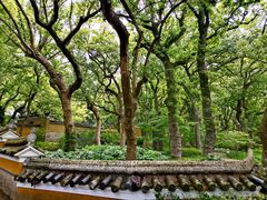 -普陀山风景名胜区-法雨禅寺