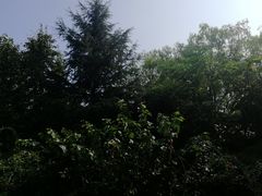 -凤凰山海港乐园