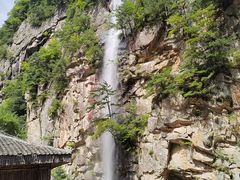 -青峰峡国家森林公园