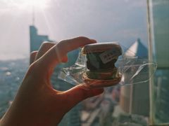 -Hi City·城市之巅