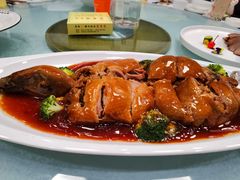 -丁老爷子苏香圆